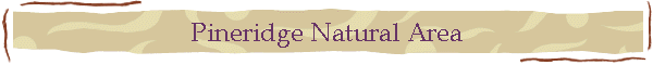Pineridge Natural Area